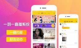 爆料风格直播视频素材库,爆款爆料风格视频素材库深度解析